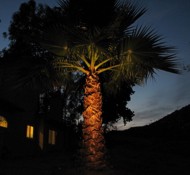 Palm Tree LED Spot Light